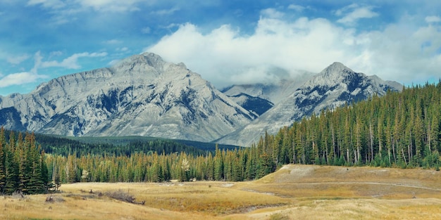 눈 덮인 산이 있는 캐나다 밴프 국립공원의 풍경 파노라마