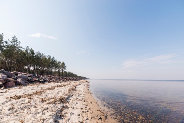 Пейзаж рая тропический остров пляж с деревьями на синем небе