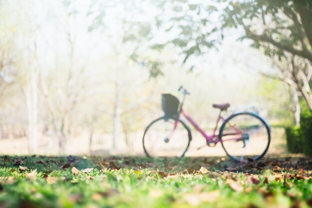 Landscape picture Vintage Bicycle with Summer grass field