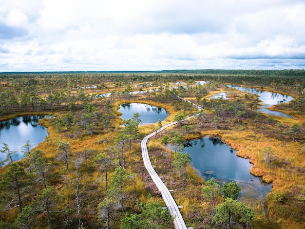 Пейзаж прудов в национальном парке Кемери под облачным небом в Латвии