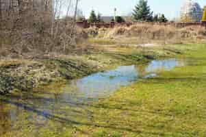 Foto gratuita paesaggio di una pozza d'acqua su un campo erboso con alberi marroni secchi nel lato