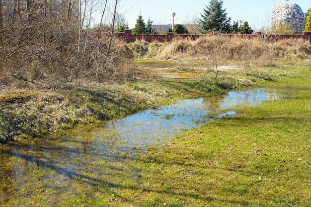Landscape of a puddle of water on a grassy field with dried brown trees in the side