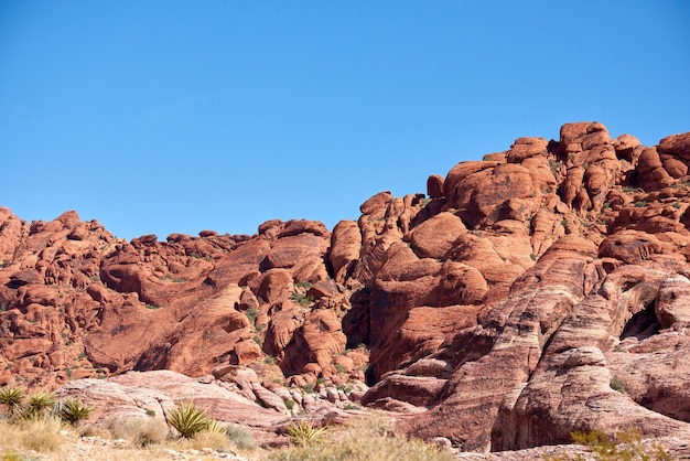 Landscape in red rock canyon, nevada, usa