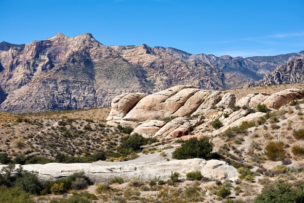 レッドロックキャニオン、ネバダ州、アメリカ合衆国の風景