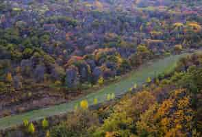 Free photo landscape of a road surrounded by trees and bushes in autumn in armenia