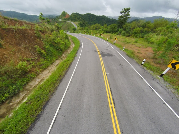 美しい風景道路の木の田舎