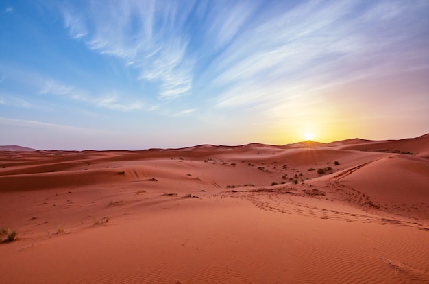 Landscape of sand dunes with animal tracks against a sunset sky