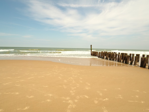 Landscape of a sandy beach with a wooden breakwater on the sides in a clear sunny blue sky