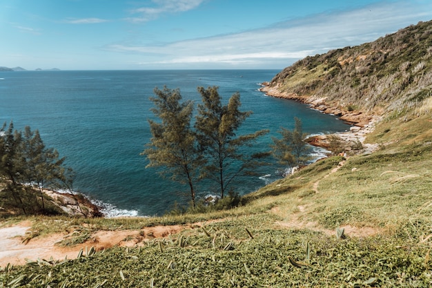 브라질 리우데 자네이루의 녹지로 덮인 언덕으로 둘러싸인 바다의 풍경