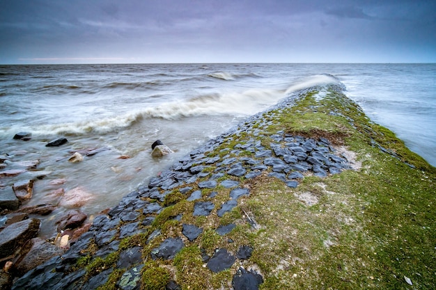 Free photo landscape of the sea surrounded by rocks covered in mosses under a cloudy sky in the evening