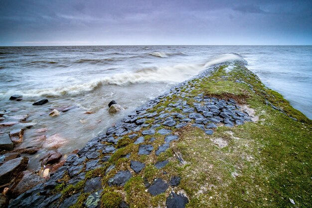 Landscape of the sea surrounded by rocks covered in mosses under a cloudy sky in the evening