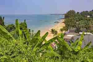 Free photo landscape of sea with houses on beach