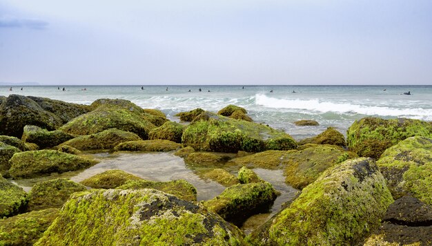 Landscape of a shore covered in stones and mosses surrounded by the sea with surfers on it