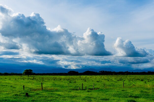 緑の牧草地の上の青い空の美しい雲の風景写真