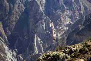 Free photo landscape shot of beautiful rocky mountains with an eagle flying during the day