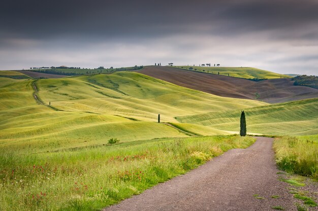 Landscape shot of green hills in val d'orcia tuscany italy in a gloomy sky