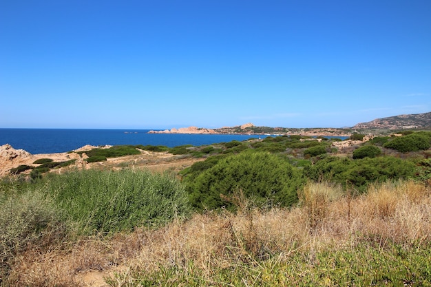 Landscape shot of an ocean road coast with a clear blue sky