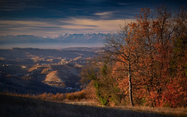 맑은 하얀 하늘이있는 개요 langhe piedmont 이탈리아의 풍경 샷