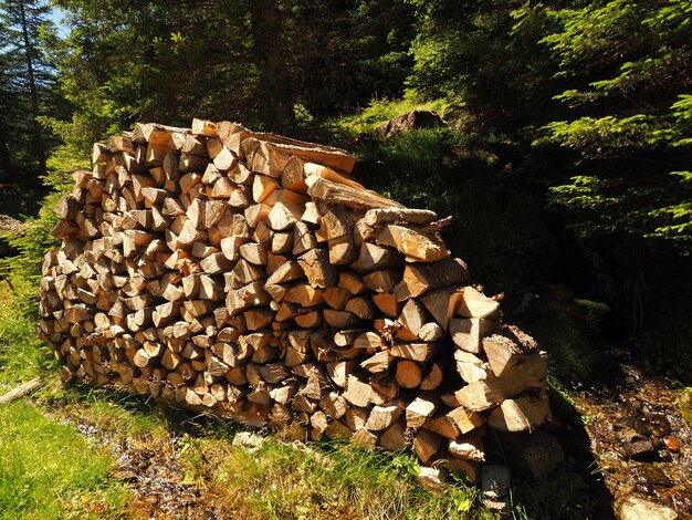 Landscape shot of piled chop woods with green trees