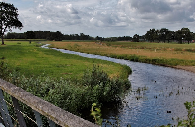 Landscape shot of a river flowing through a green field