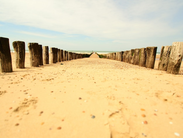 Landscape shot of a sandy beach lined with a wooden breakwater