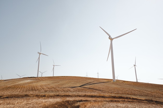 Landscape shot of white wind turbines on a peaceful dry grass field