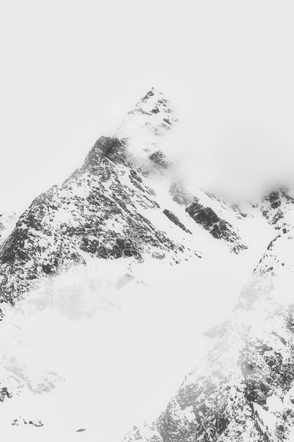 雪をかぶった山の風景