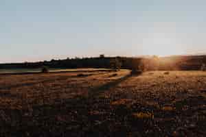 Free photo landscape of a sunset in a clear day