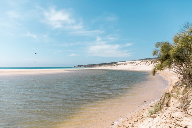 Landscape of tropical beach with parasailing on background