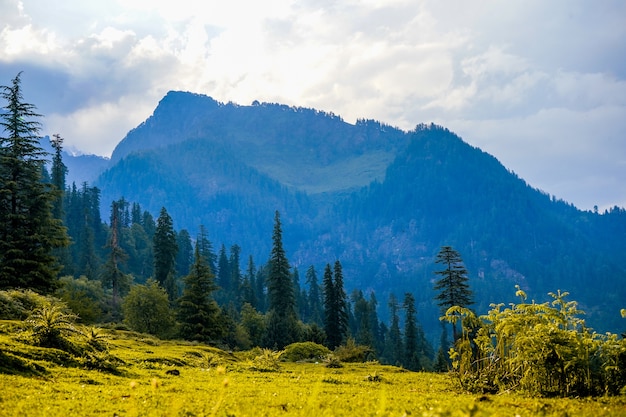 インドの野原とマナリの山々の風景