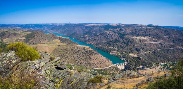 Landscape of vineyards and Douro River near Vila Nova de Foz Coa, Portugal