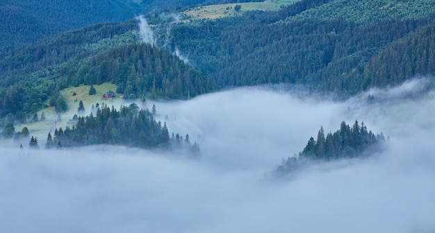 Paesaggio con nebbia in montagna