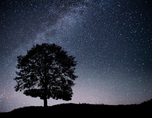 Landscape with night starry sky and silhouette of tree on the hill. Milky way with lonely tree, falling stars.