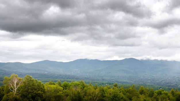 Landscape with trees and mountains