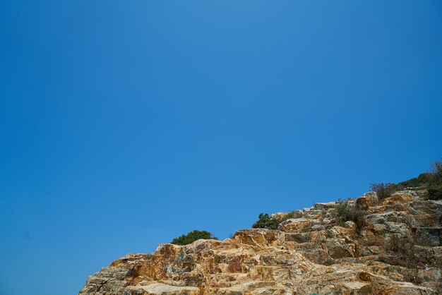 Landscape with vegetation and sky background