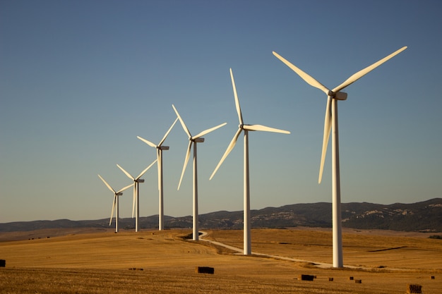 Бесплатное фото Пейзаж с ветряными мельницами