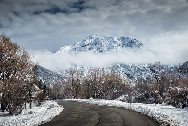 冬に高速道路から撮影された雪に覆われた風景