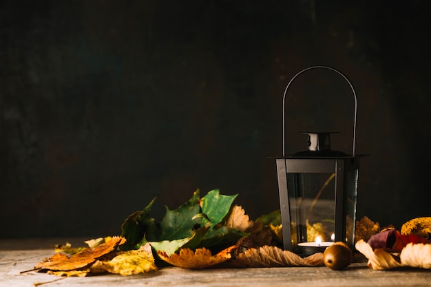 Lantern in dry leaves