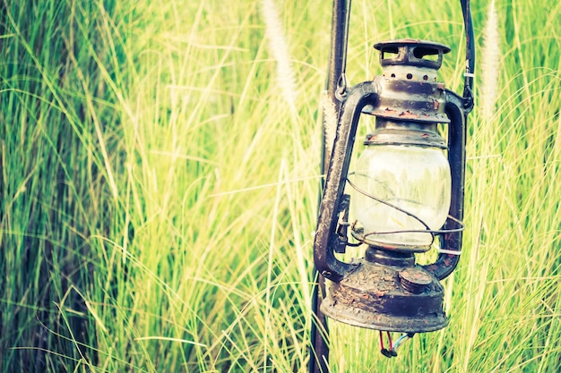 Free photo lanterns fairy wood lights back