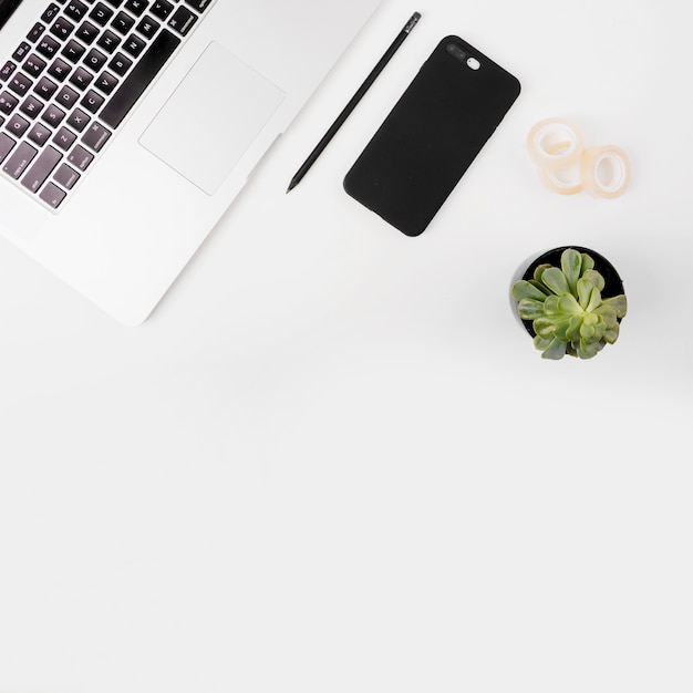 Laptop; cello tape; cellphone; pencil and potted plant on white backdrop