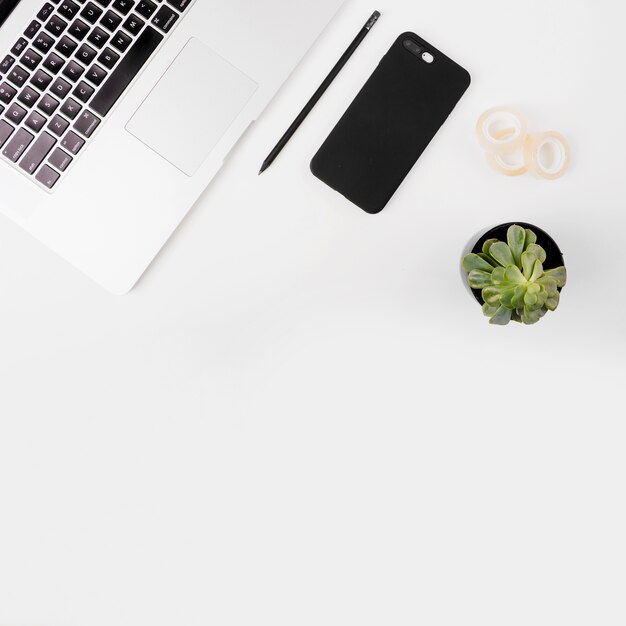 Laptop; cello tape; cellphone; pencil and potted plant on white backdrop