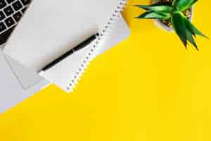 Free photo laptop notepad and plant on yellow background flat lay