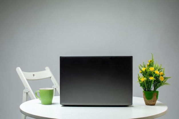 Free photo laptop plant and green cup