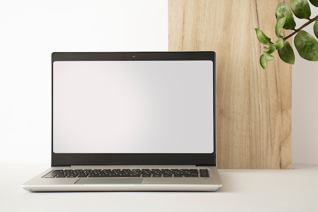 Laptop and plant indoors