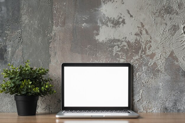 Laptop with blank white screen and potted plant in front of old wall