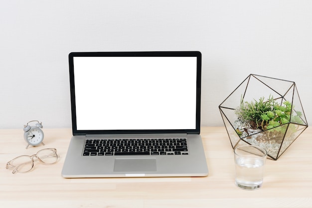 Laptop with green plant on wooden table