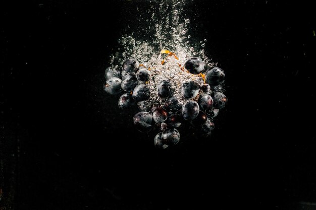 Large bunch of black grape splashes water falling in aquarium