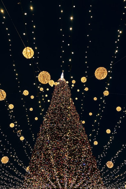 Free photo large city christmas tree with many lights