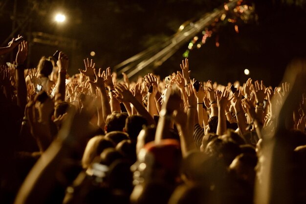 Large group of fans with arms raised having fun on a music concert at night