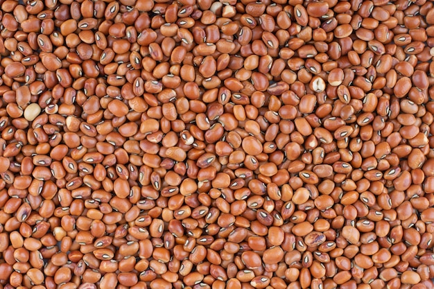 Large heap of dried red beans